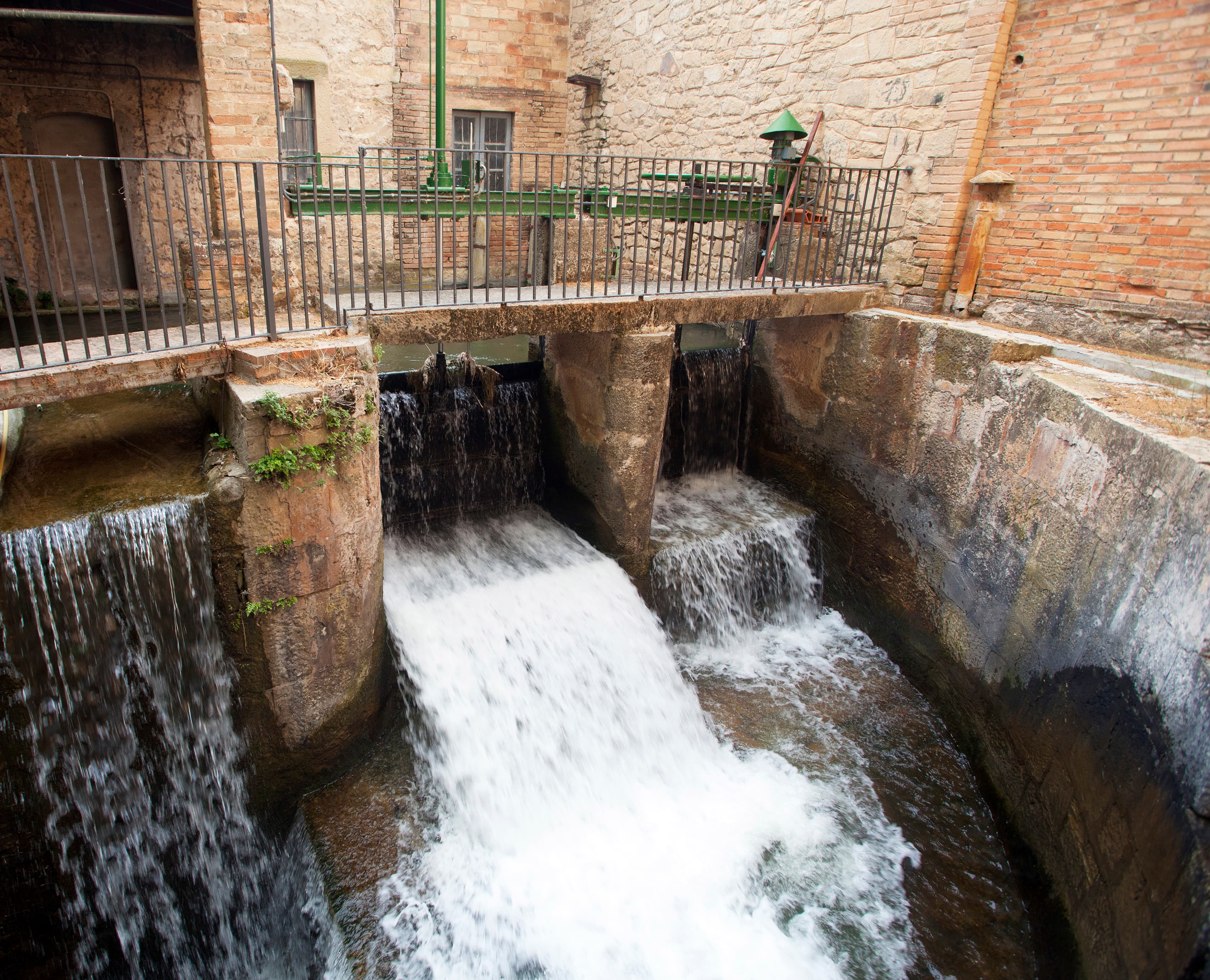 Presa en un estanque