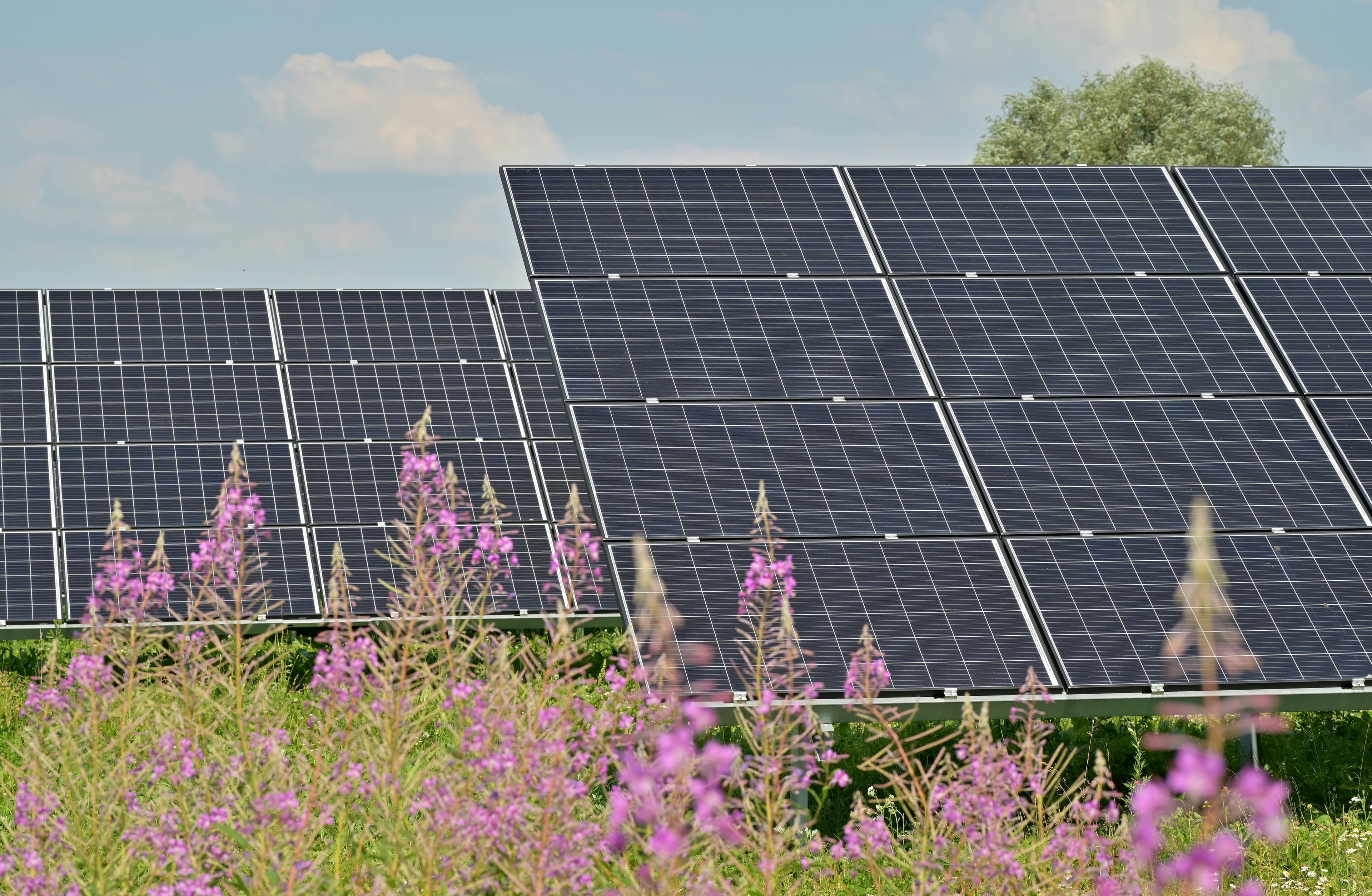 Placas solares